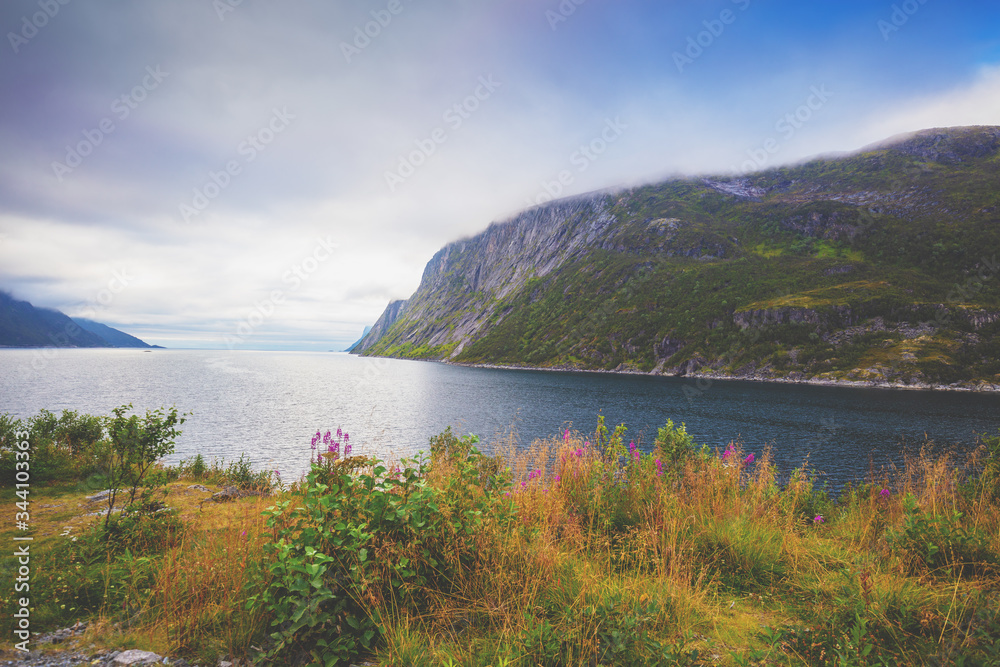 View of the fjord. Rocky seashore with cloudy sky. Beautiful nature of Norway