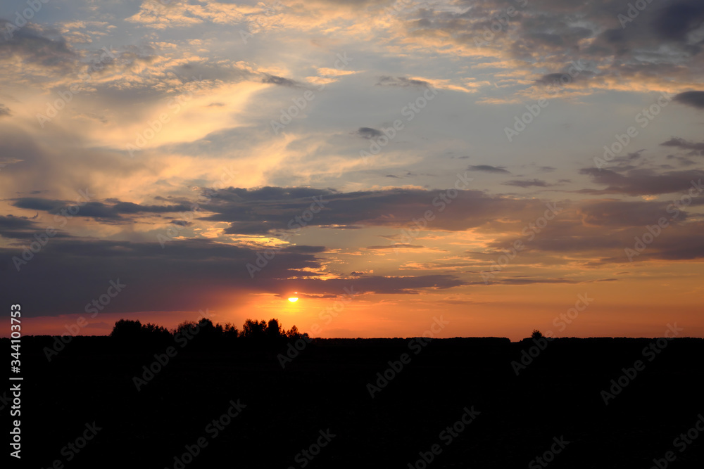 The sun sets over the horizon. Silhouettes of trees on sunset sky background. Colorful clouds.