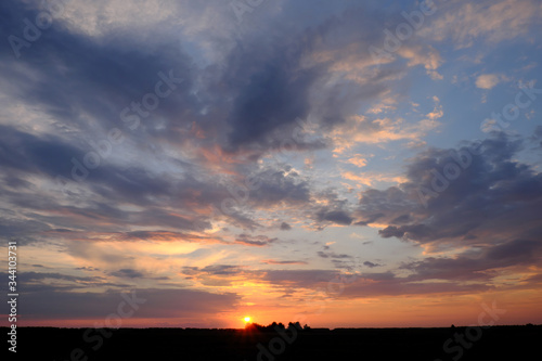 The sun sets over the horizon. Silhouettes of trees on sunset sky background. Colorful clouds.