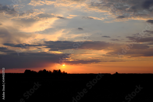 The sun sets over the horizon. Silhouettes of trees on sunset sky background. Colorful clouds.