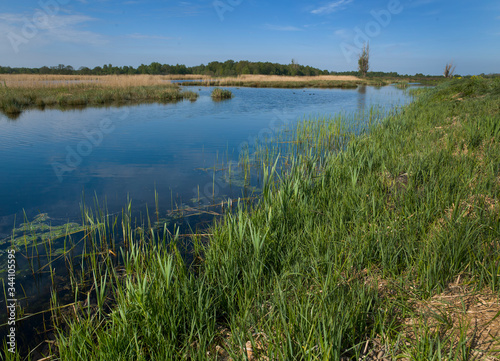 Fototapeta Naklejka Na Ścianę i Meble -  Canals and lakes at Peetland. Moor. National Park Weerribben-Wieden Netherlands  Steenwijkerland. Spring. Overijssel.
