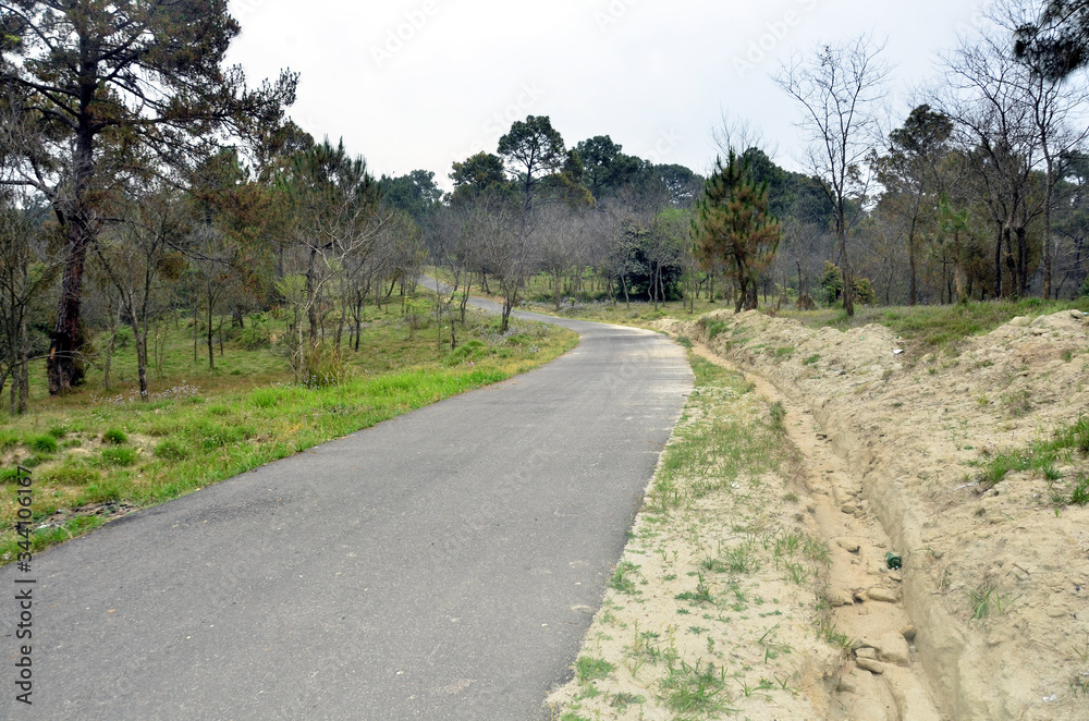 cBeautiful Empty Road in Jungle of Himachal Pradesh India 1 cBeautiful Empty Road in Jungle of Himachal Pradesh India 1