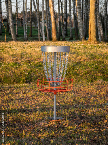 a disc golf cart in the park, birch grove in the morning