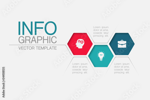 Vector iInfographic template for business, presentations, web design, 3 options.
