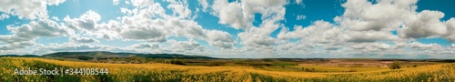 Panorama of yellow rapeseed valley. The mountains and the beautiful spring sky in the background