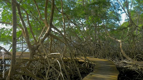 FPV walking on the boardwalk to the lake photo