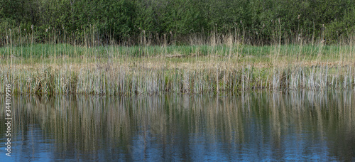 Canal at National Park Weerribben-Wieden Netherlands  Steenwijkerland. Spring.