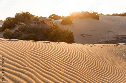 Gold desert in sunset. Canary Islands, Canaries. Grand Canary. Maspalomas, Resort Town photo
