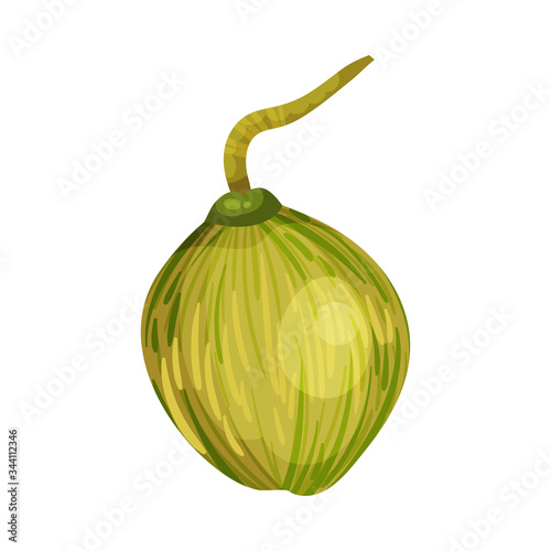Green Coconut with Straw for Extracting Milk from It Vector Illustration