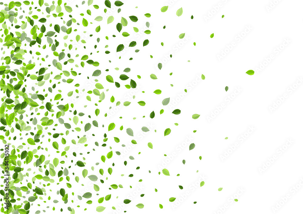 Olive Leaf Tree Vector Wallpaper. Fresh Leaves Olive Leaf Tree Vector Wallpaper. Fresh Leaves