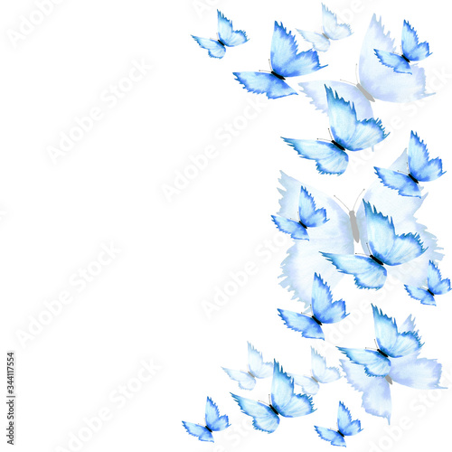 Canvas Print blue butterfly frame with copy space, abstract blue butterflies background, cute