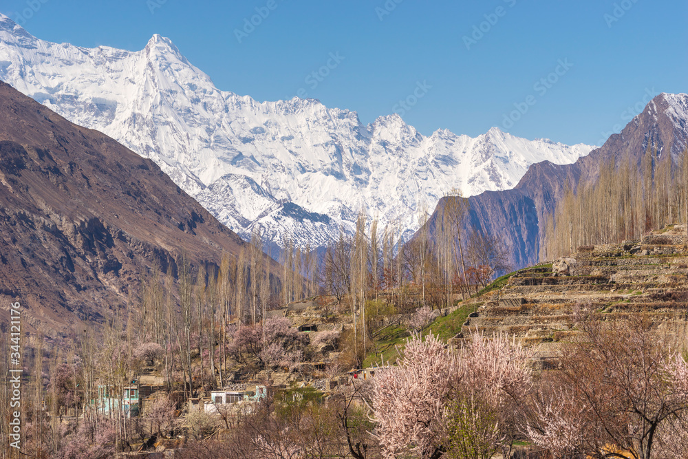 Hunza valley in blossom or spring season in Gilgit Baltistan, Pakistan