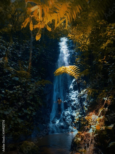 pine forest waterfall - cilacap Indonesian photo