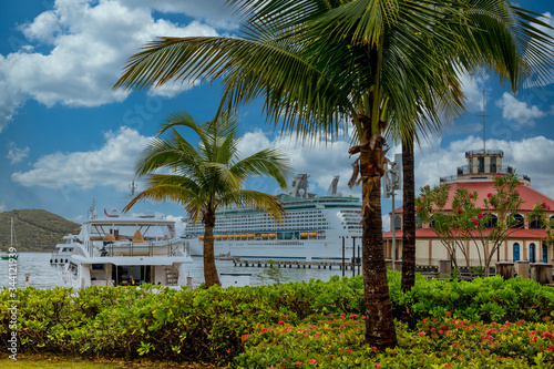 A luxury cruise ship in a tropical harbor with other boats