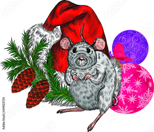 red hat of Santa Claus with Christmas tree branch and cones and rat