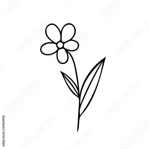 flower on a stem with leaves hand drawn in doodle style. element scandinavian monochrome minimalism simple vector element. plant, summer. design card, sticker, poster icon