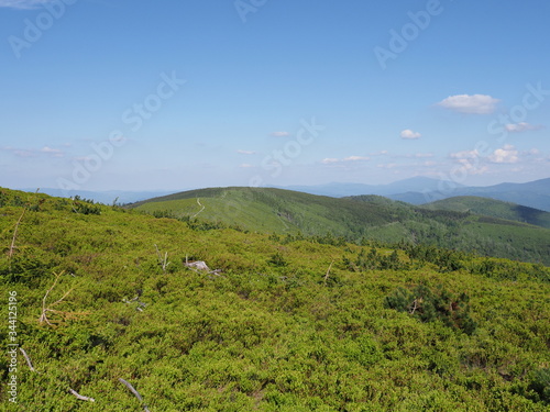 Beskids Mountains range with beauty forrest near Salmopol pass Poland