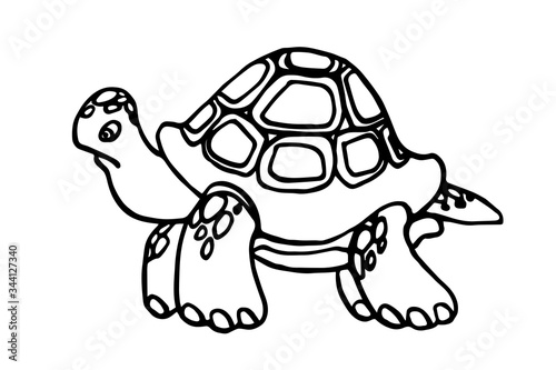 big old funny turtle in a shell, a symbol of delay and long life, vector illustration with black contour lines isolated on a white background in a doodle,  hand drawn and cartoon style