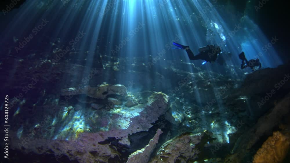 dive into the cenotes, Yucatan, Mexique. dive into the cenotes, Yucatan, Mexique.