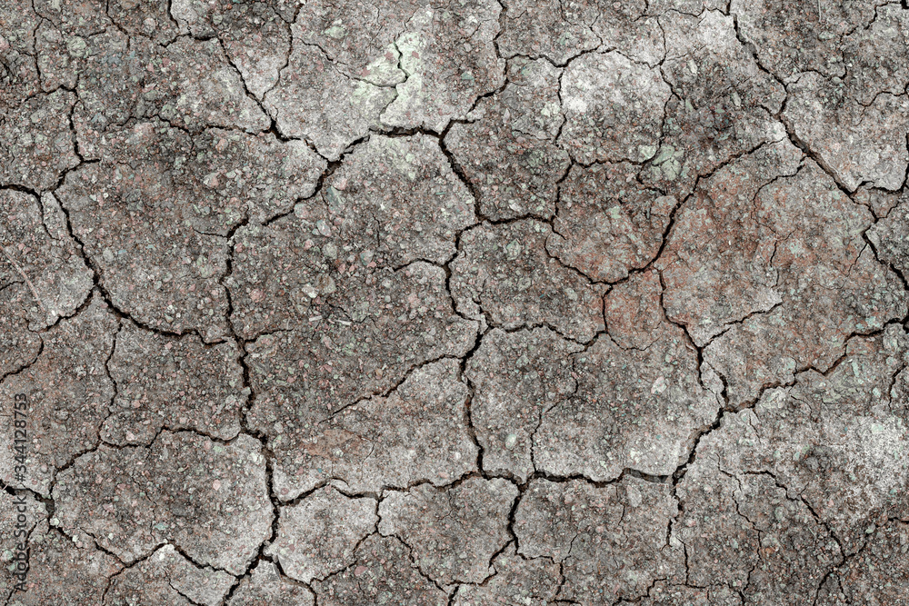The surface is gray or arid land, the soil surface is cracked from arid agriculture on global warming.
