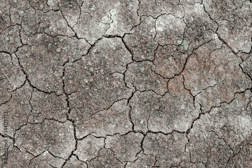 Leinwand Poster The surface is gray or arid land, the soil surface is cracked from arid agriculture on global warming