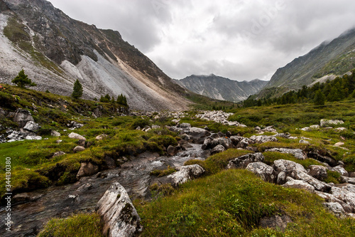 Mountain rivulet flows through large stones from the mountains. A lot of green grass near the river. Big mountains in the background. Cloudy weather. Horizontal. © Vladimir Kazakov