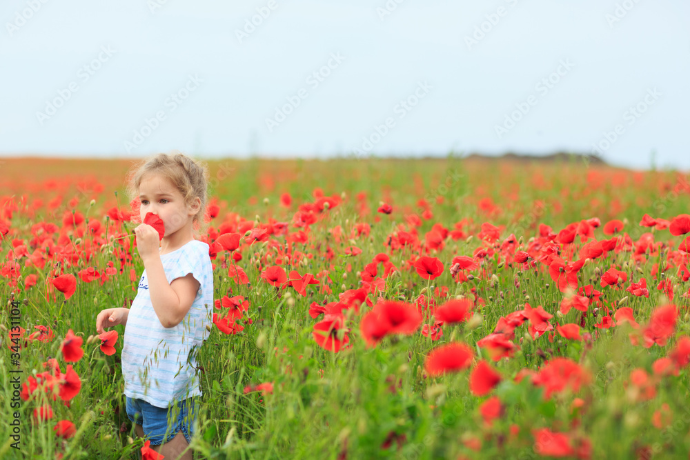 Beautiful child picking flowers in poppy field Beautiful child picking flowers in poppy field