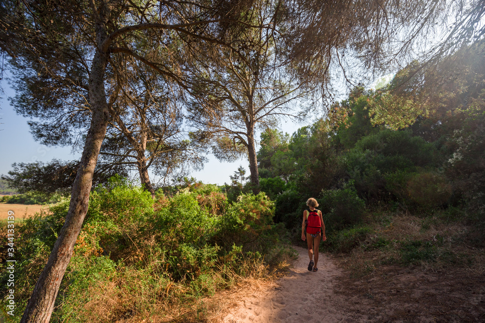 A tourist follows a path through the pine trees, returning from the beach.