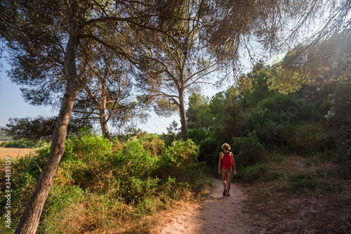 A tourist follows a path through the pine trees, returning from the beach.
