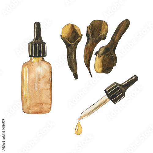 Essential oil of clove spice in glass brown bottle isolated on white background. Syzygium aromaticum. Watercolor hand drawing illustration. Clip art for medicine, healthy food, covers, cards.