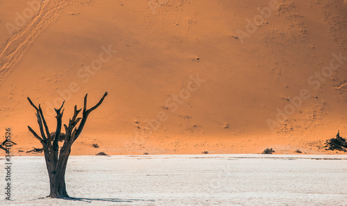 Dead Vlei - Namibia