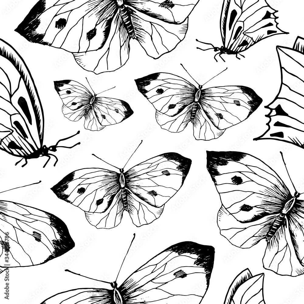 butterfly-sketch-pattern-hand-drawn-insect-butterflies-on-transparent