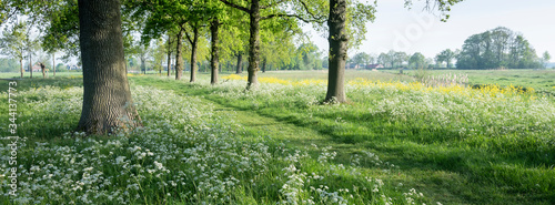 park of castle De Haar near utrecht in holland with spring flowers photo