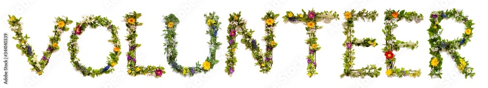 Flower, Branches And Blossom Letter Building English Word Volunteer. White Isolated Background