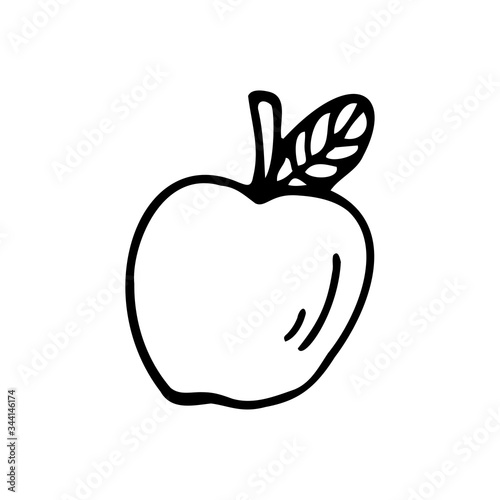Hand drawn apple on a white isolated background. Doodle, simple outline illustration. It can be used for decoration of textile, paper and other surfaces.