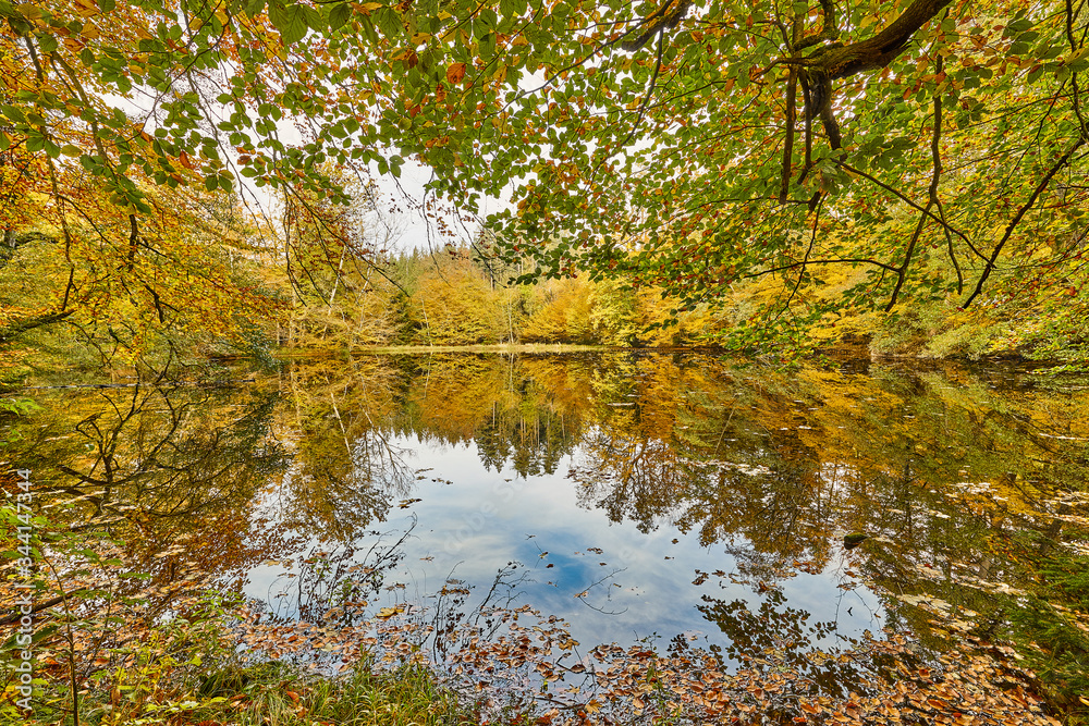 Herbst, Huckinger See, Tarsdorf, Bezirk, Braunau, Innviertel, Oberösterreich, Österreich, Austria