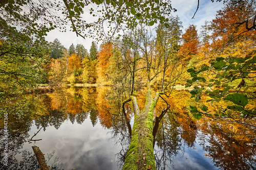 Herbst, Huckinger See, Tarsdorf, Bezirk, Braunau, Innviertel, Oberösterreich, Österreich, Austria photo