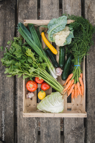 Panier de légumes frais juste ramassés photo