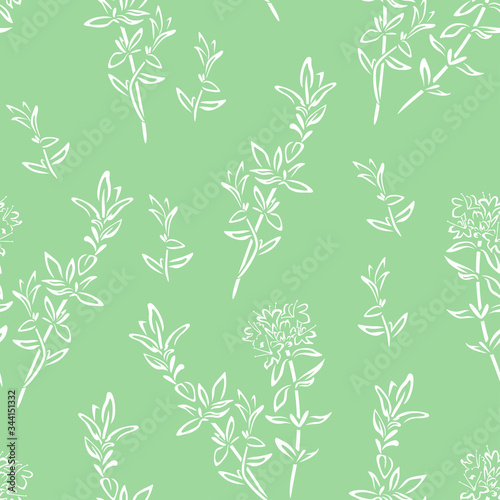 Thyme branches and flowers outline seamless pattern. Simple vector monochrome illustration of meadow herbs. Floral green background.
