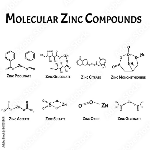 Molecular compounds of zinc. The chemical formula is picolinate, citrate, acetate, monomethionine, sulfate, oxide, zinc glycinate. Infographics. Vector illustration on isolated background.