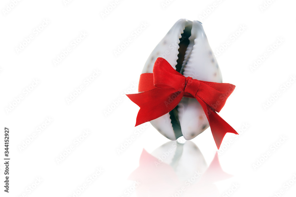 Beautiful white seashell tied with a red ribbon with a bow on a white background. Gift, shopping and holiday concept. Beautiful white seashell tied with a red ribbon with a bow on a white background. Gift, shopping and holiday concept.