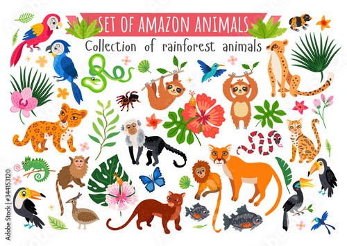 An Amazon rainforest jungle animals set. Vector