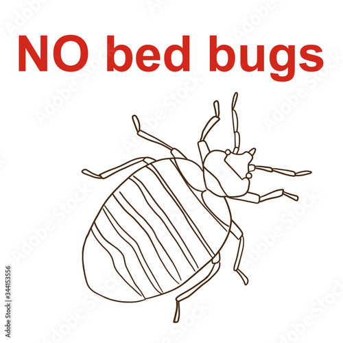 inscription and drawing no bed bug vector illustration for insecticides