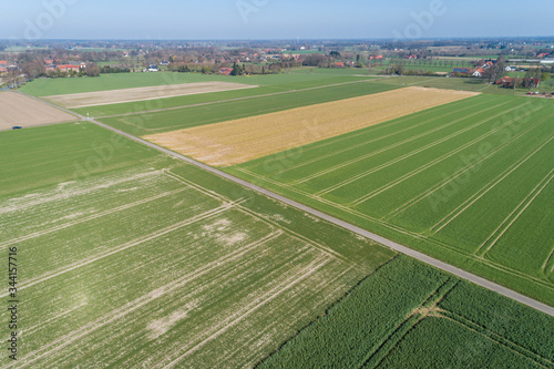 Feldweg zwischen Feldern mit Traktorspuren aus der Luft, Deutschland