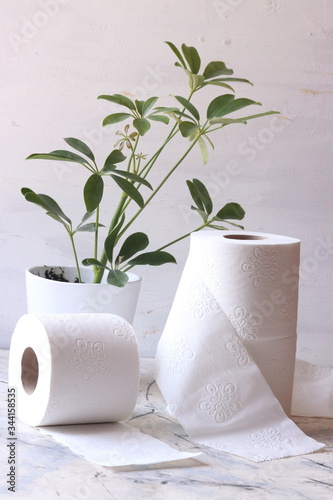 White toilet tissue,paper with green leaves plant on a white background