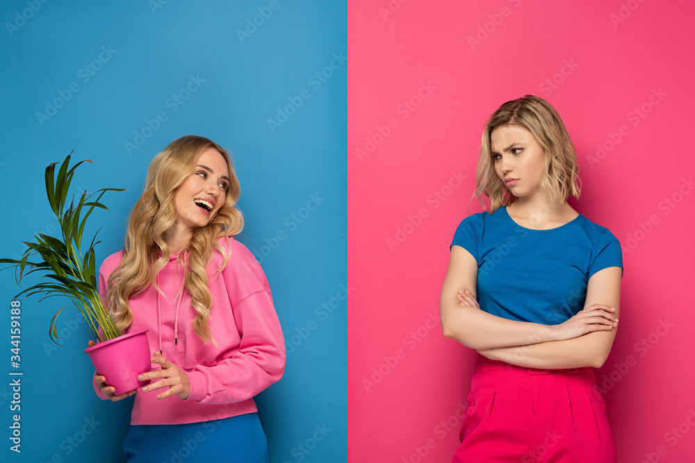 Offended blonde woman looking at smiling sister with plant on pink and blue background Offended blonde woman looking at smiling sister with plant on pink and blue background