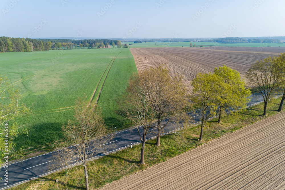 Landstraße zwischen Feldern aus der Luft, Deutschland