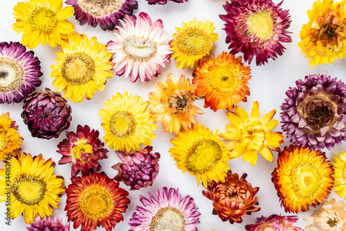 Herbal flower tea Tibetan chrysanthemum on white background