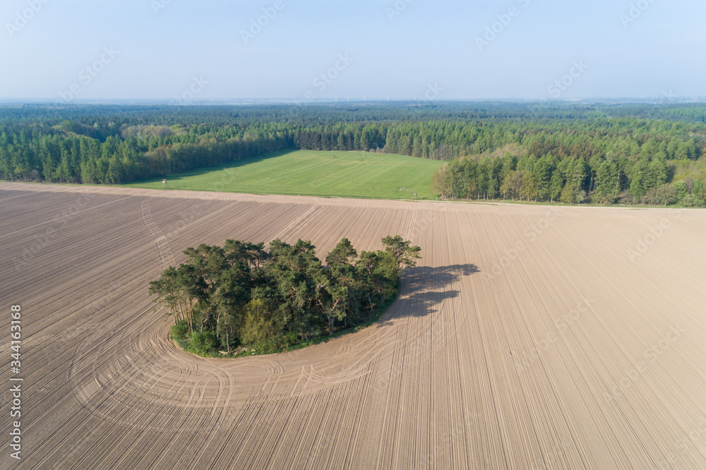 Feldgehölz in Mitten von einem großen Acker, Deutschland
