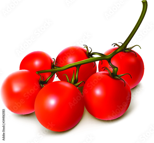 cherry tomatoes on a vine vector